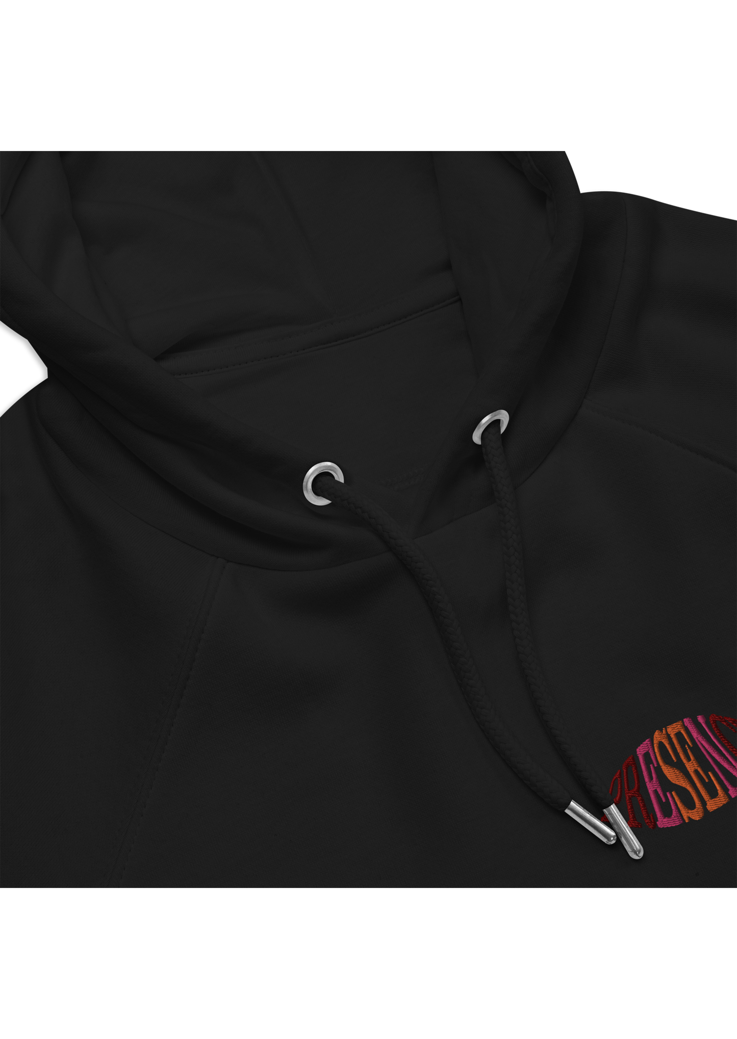 WDYS Embroidered Hoodie