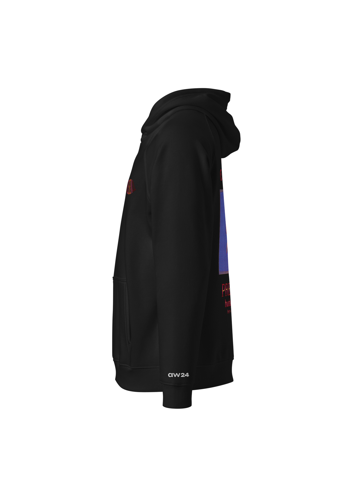 WDYS Embroidered Hoodie